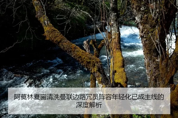 阿莫林夏窗清洗曼联边路冗员阵容年轻化已成主线的深度解析